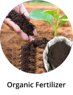 Organic Fertilizer